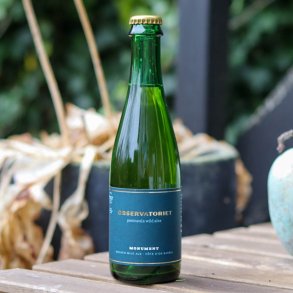 Monument (2024-2026) - Observatoriet 