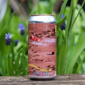 Wormhole One (PULP) - Elmeleven