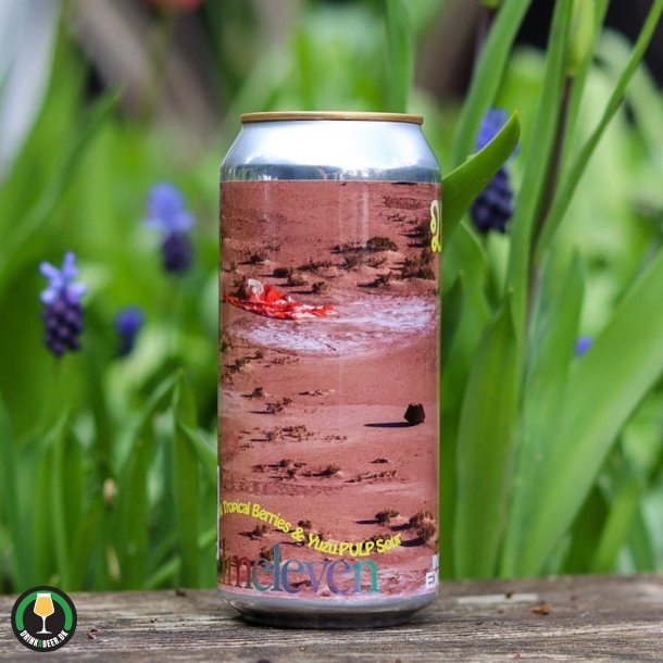 Wormhole One (PULP) - Elmeleven